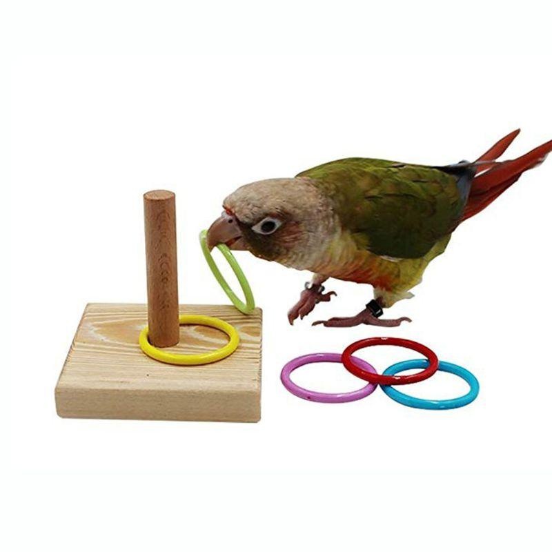 Bird Training Ring Toy Parrot  - Gymnastic Ring Wood 评论和价格