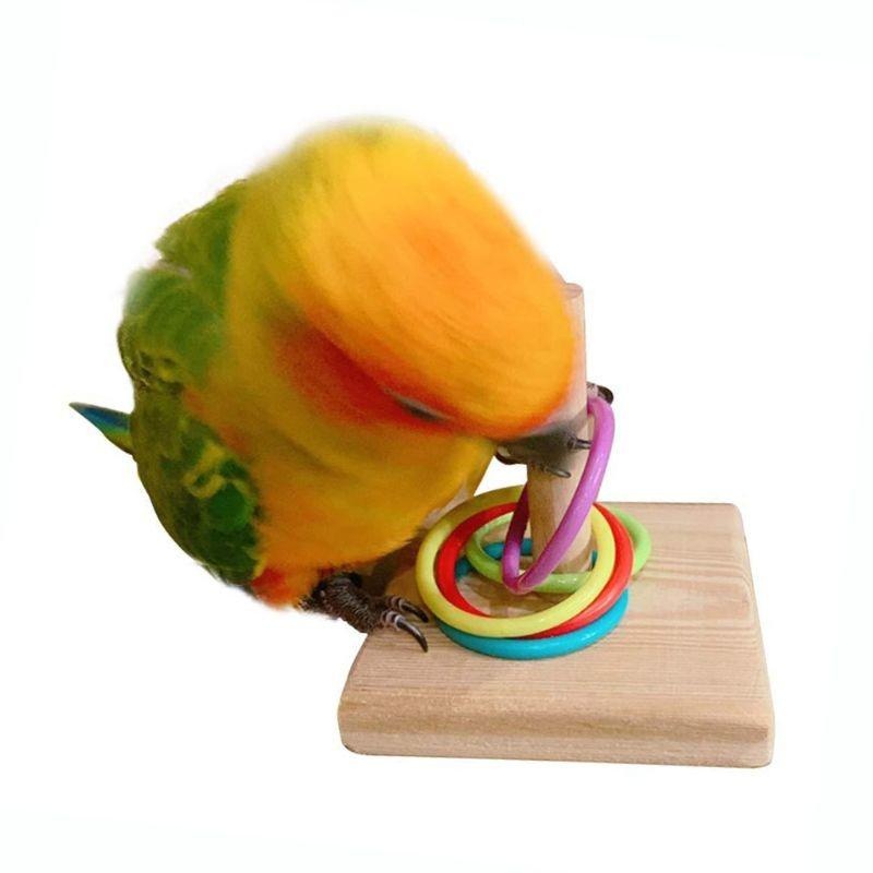 Bird Training Ring Toy Parrot  - Gymnastic Ring Wood 评论和价格