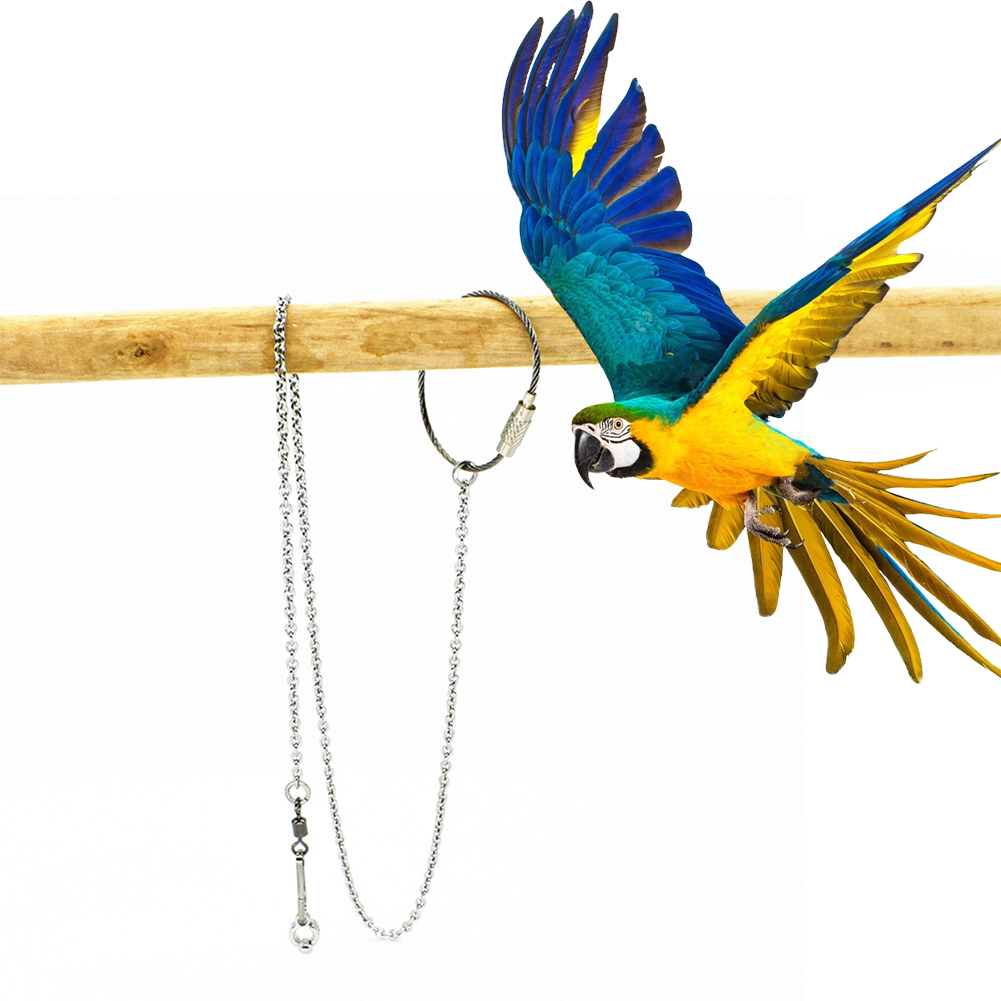 1Pcs Pet Parrot Leg Ring Ankle - Gymnastic Ring Wood 评论和价格