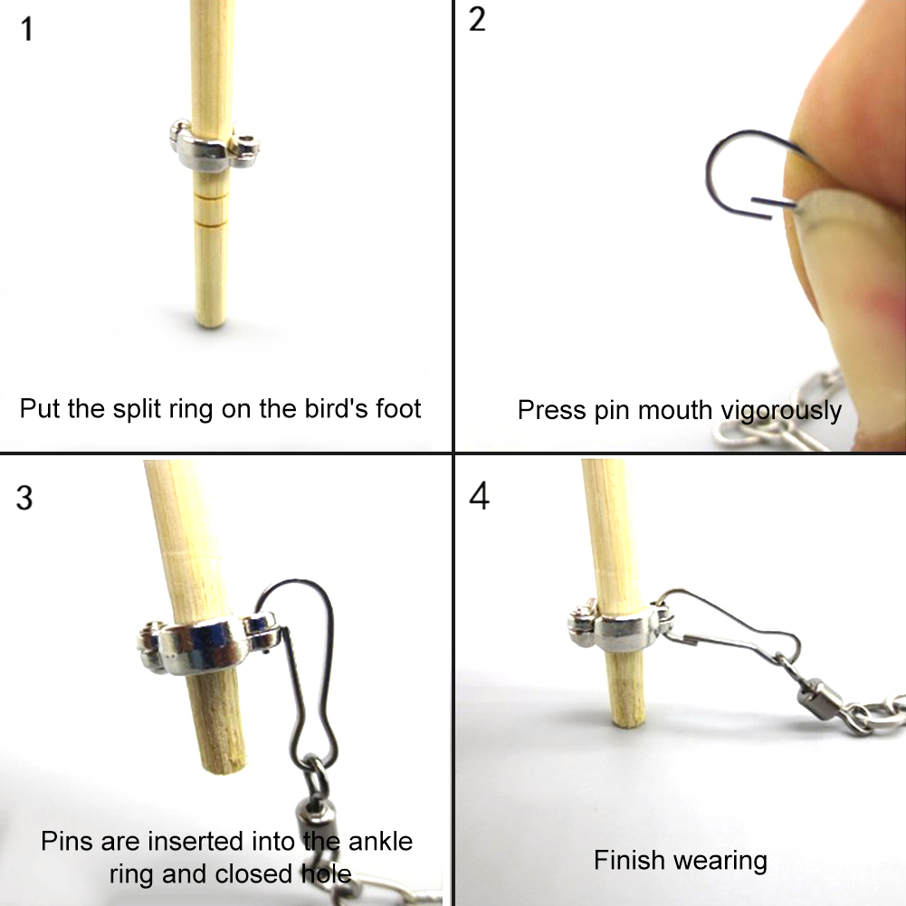 1Pcs Pet Parrot Leg Ring Ankle - Gymnastic Ring Wood 评论和价格